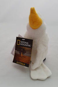 Cockatoo  National Geographic