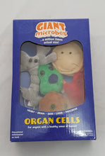 Load image into Gallery viewer, Giant Microbes Organ Cells
