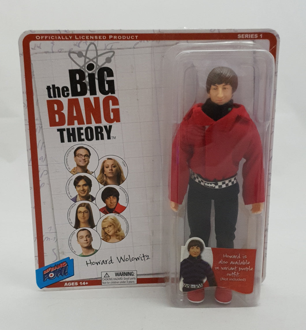The Big Bang Theory Figure Howard